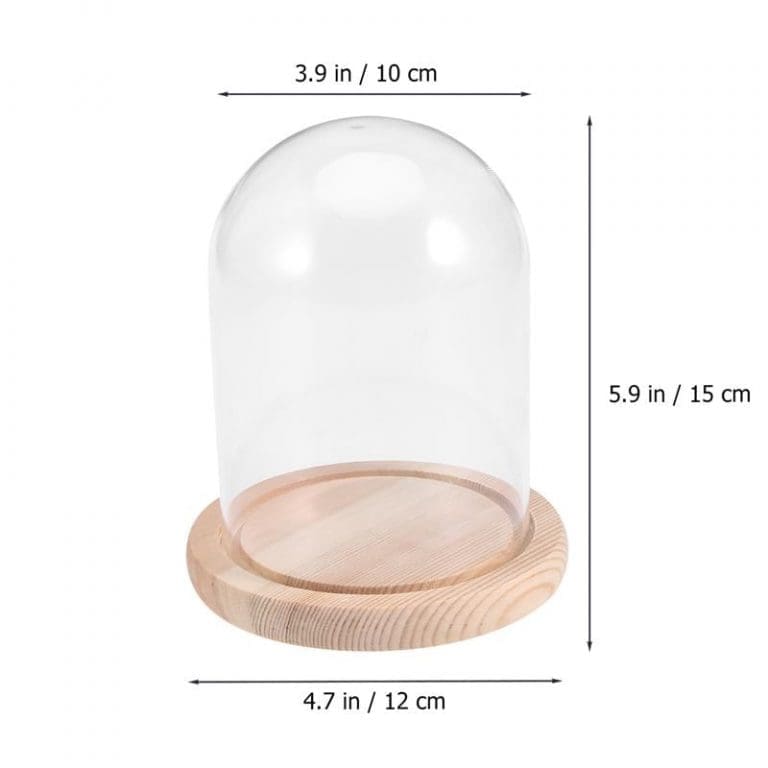 Cloche a bougie 8