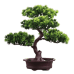 249187571-1_cleanup-removebg-preview