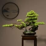 Bonsaï artificiel haut de gamme