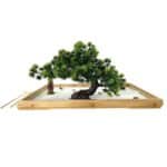Jardin zen japonais miniature 2