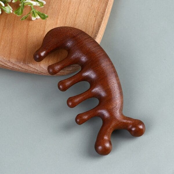 Peigne massage tete 2