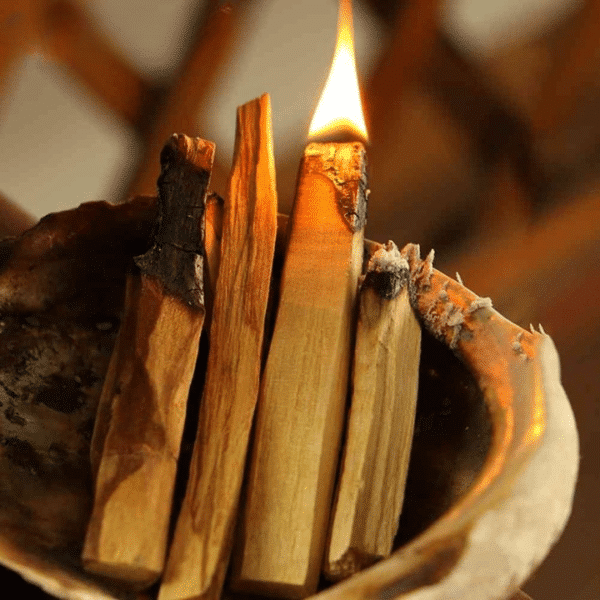Bois sacré palo santo